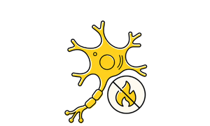 Icon Schutz der Nervenzellen
